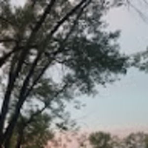 Meet your Posher, Bena